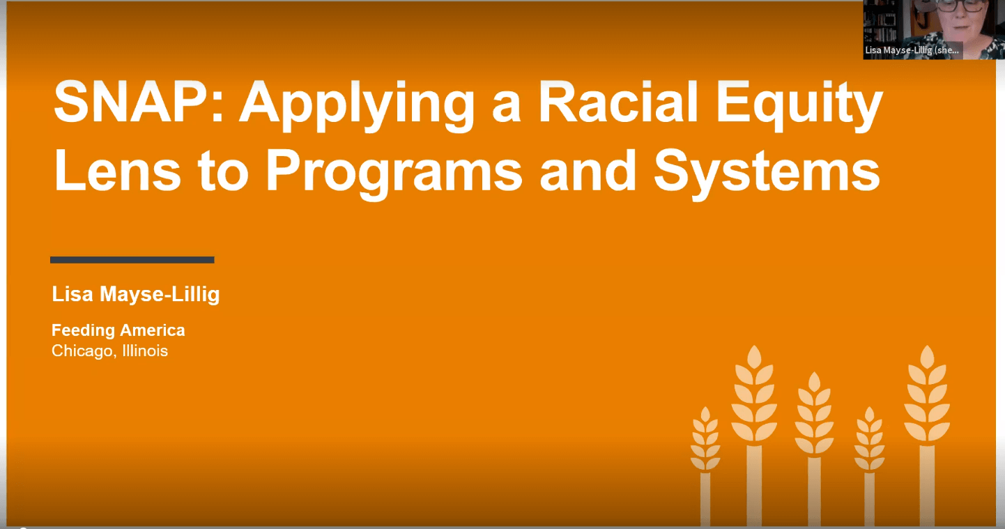 SNAP: Applying a Racial Equity Lens to Programs and Systems