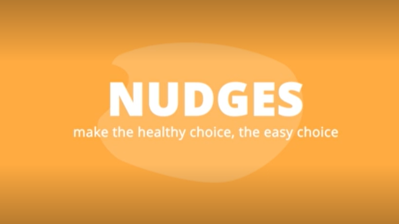 Introduction to Nudges