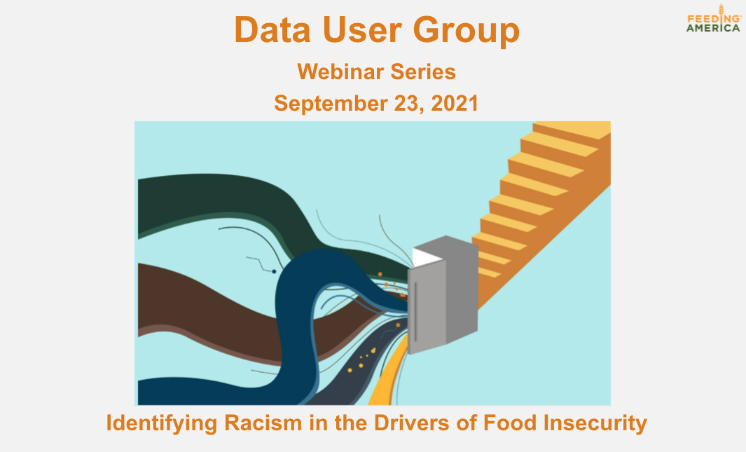 Data User Group: Identifying Racism in the Drivers of Food Insecurity