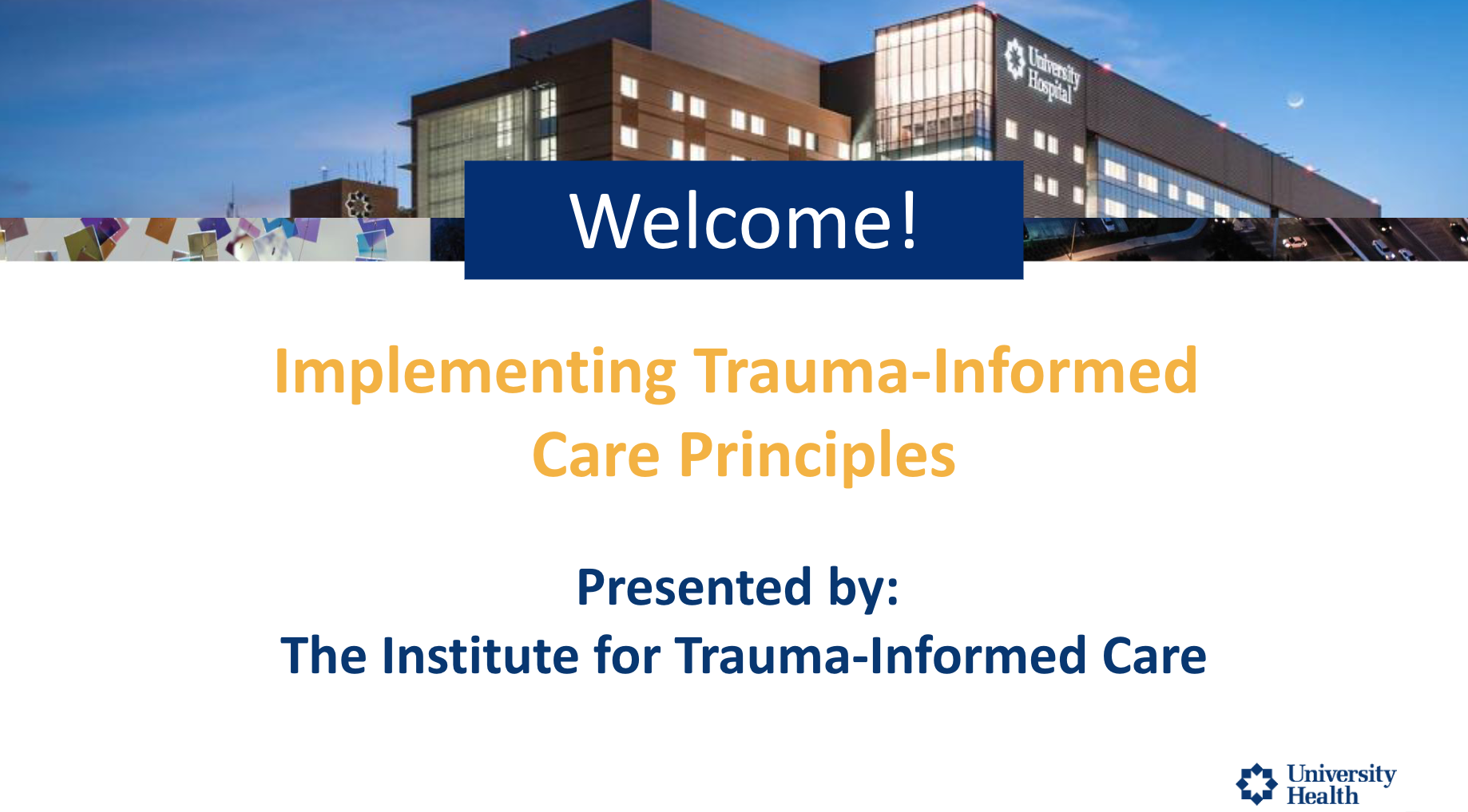 Service Insights Learning Cluster: Trauma-Informed Care