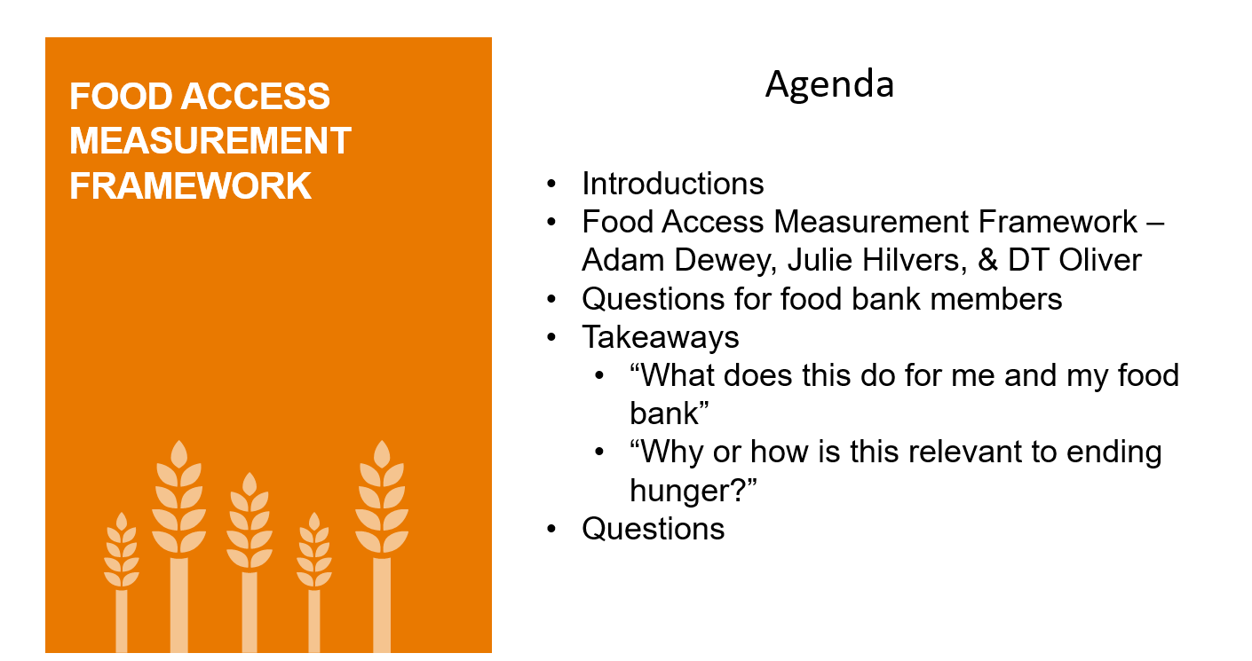 Food Access Measurement Framework