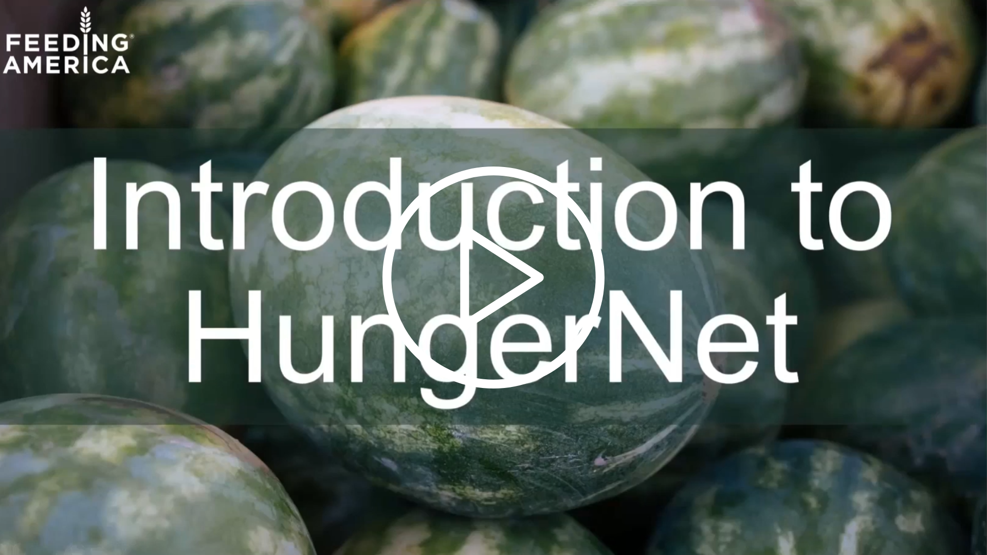 Introduction to HungerNet