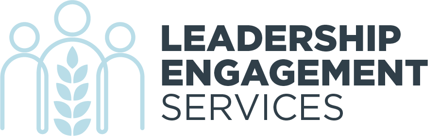 2024 Dare to Lead™ Team Effectiveness Leadership Program for Executive Leaders
