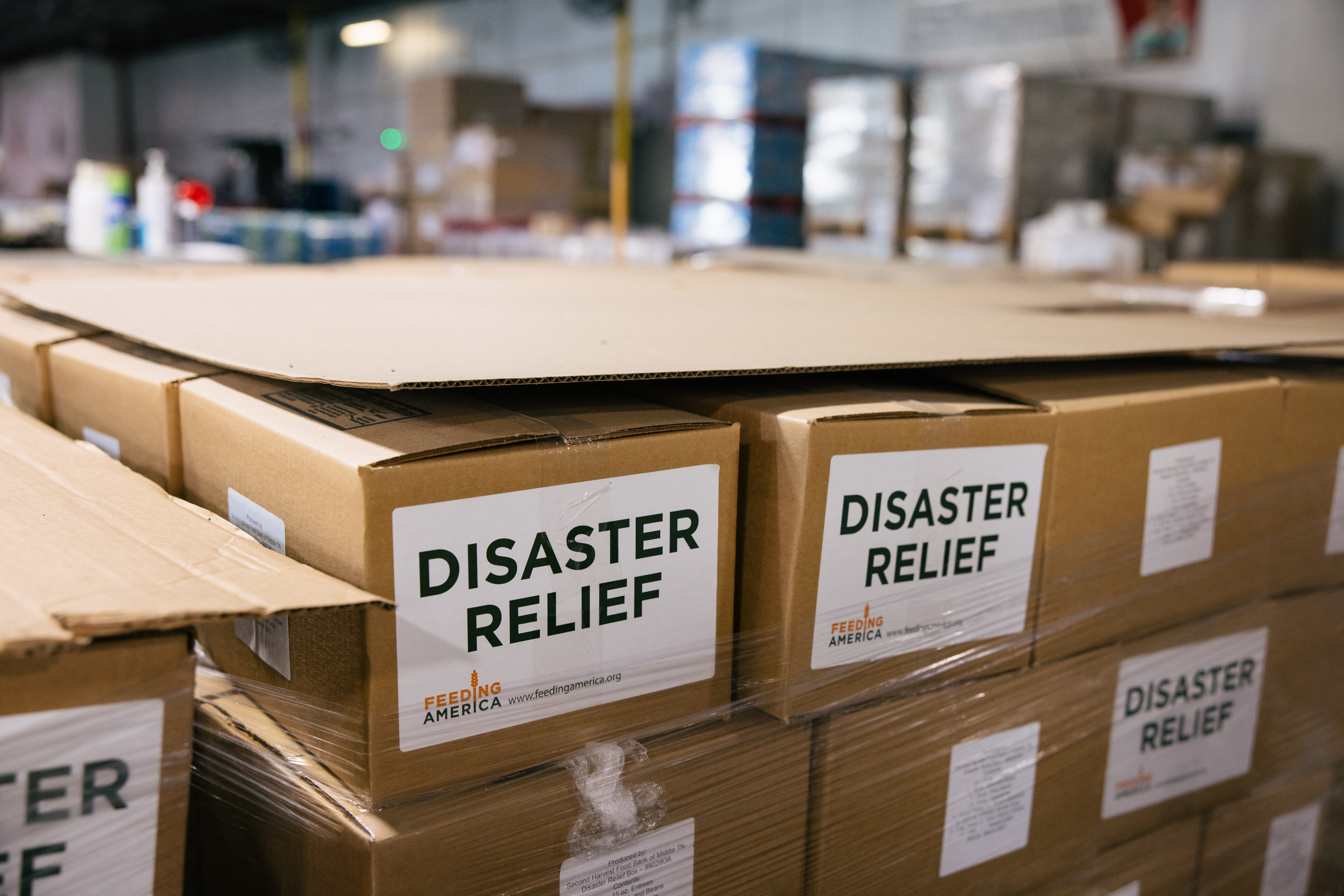 Partnerships in Disaster Response